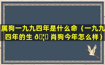 属狗一九九四年是什么命（一九九四年的生 🦋 肖狗今年怎么样）